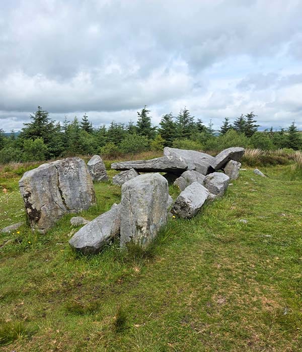 Perché Scegliere il Nostro Tour al Cavan Burren Park