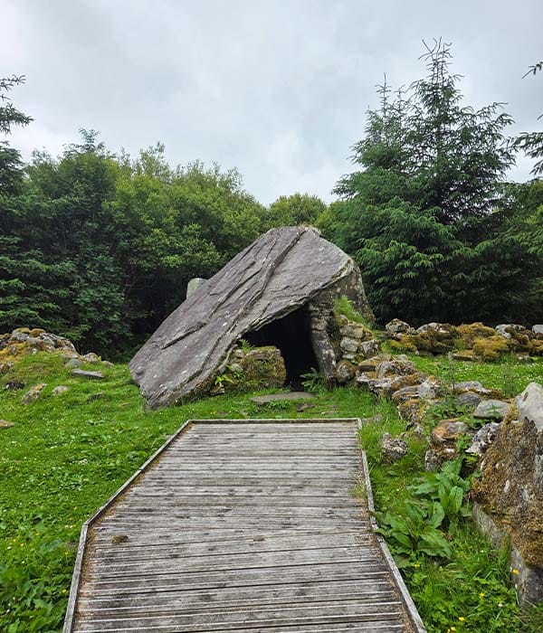 Tour Giornaliero al Cavan Burren Park: Scopri 5.000 Anni di Storia in un Giorno