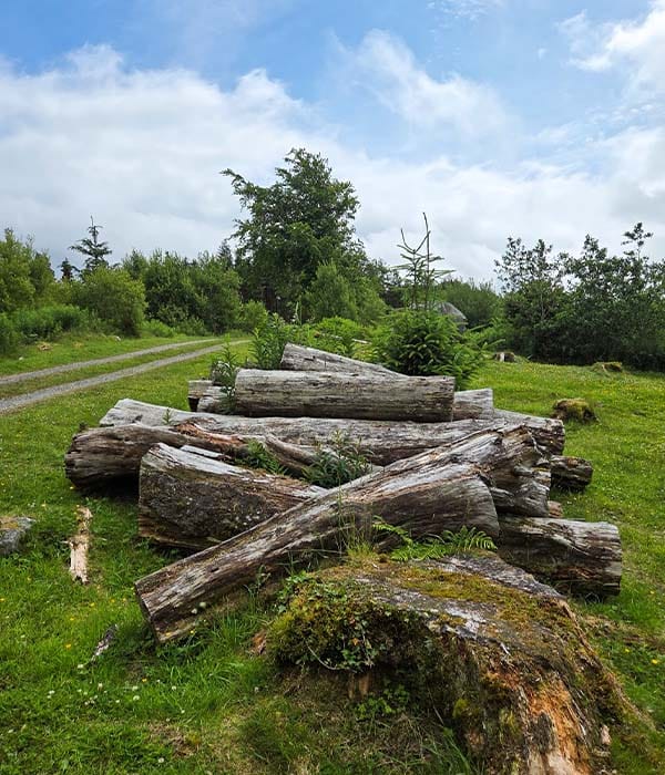 Il Sentiero del Salto del Gigante