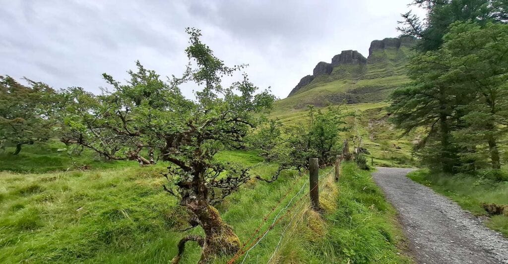 Benbulben Fores Walk