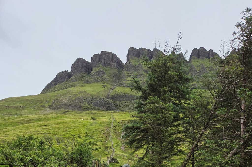 Benbulben Forest Walk